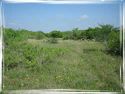 coastal plains topography