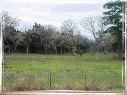 Post Oak Savannah Region