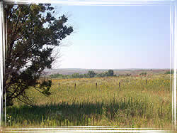 Rolling Plains Region