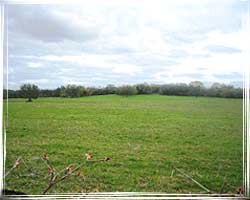 Blackland Prairie Region