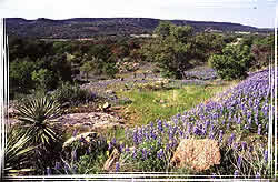 Grand Prairie Plains